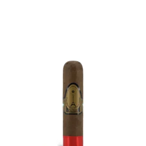 Casa Nicaragua Paris Midnight Short Gordo Cigar